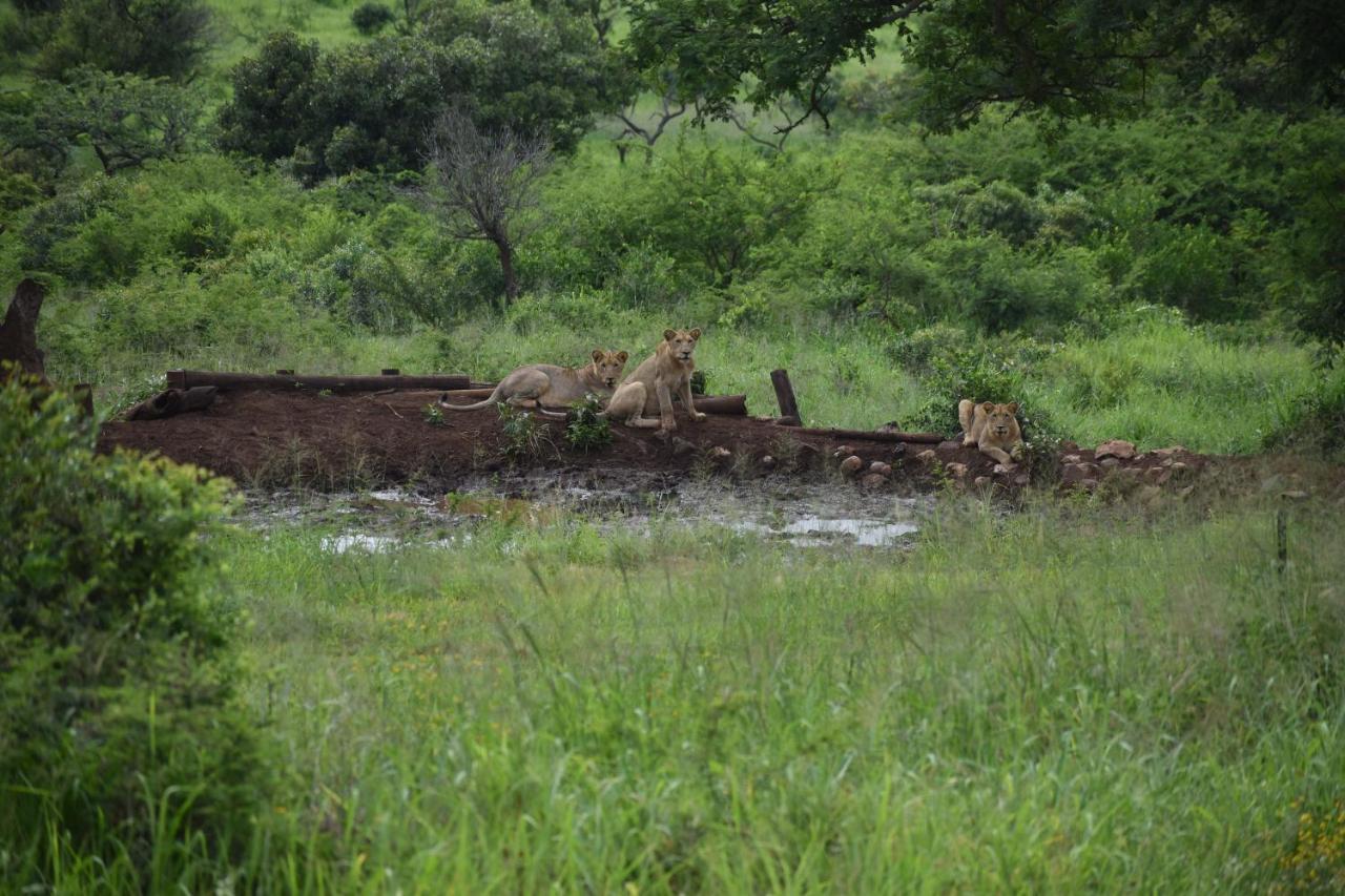African Spirit Game Lodge Mkuze Exteriér fotografie